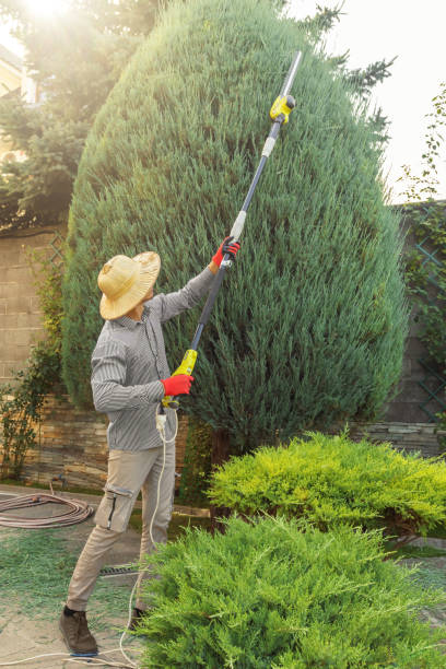 Best Lawn Maintenance Plans  in Willow Oak, FL